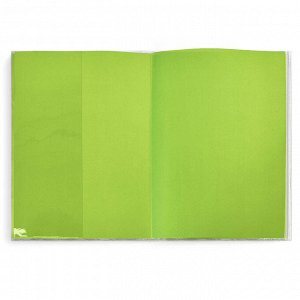 Дневник школьный, А5+, 48л., мягкий переплёт, суперобложка с карманом на гибкой молнии, шелкография в одну краску