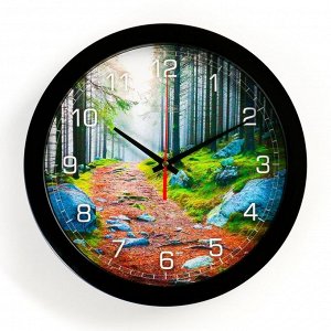 Часы настенные, серия: Природа, "Лесная тропа", плавный ход, d=28 см