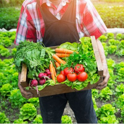 Русский огород - семена овощей. Осенние посадки овощей 🍅