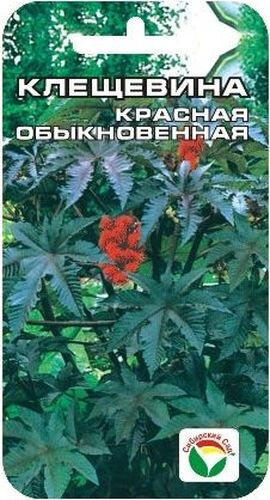 Цветы Клещевина красная 5шт Сибирский сад
