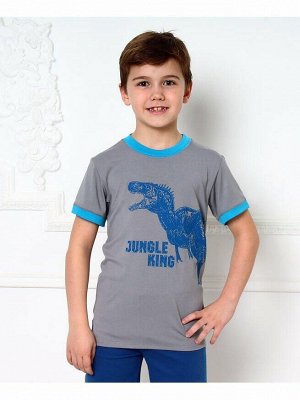 Серая футболка для мальчика Цвет: серый