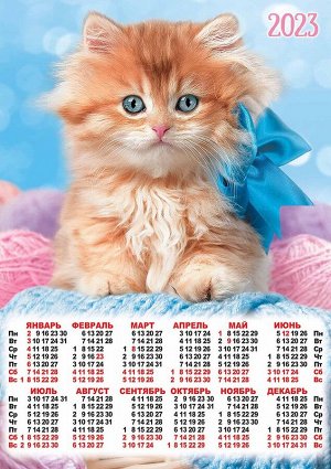 Листовой календарь на 2023 год А2 "Кошки"