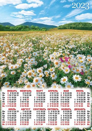 Листовой календарь на 2023 год А2 "Полевые цветы"