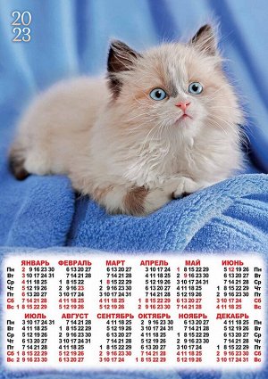 Листовой календарь на 2023 год А2 "Кошки"