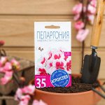 Семена цветов &quot;Агроуспех&quot; Пеларгония &quot;Маверик Стар&quot;, F1, 4 шт