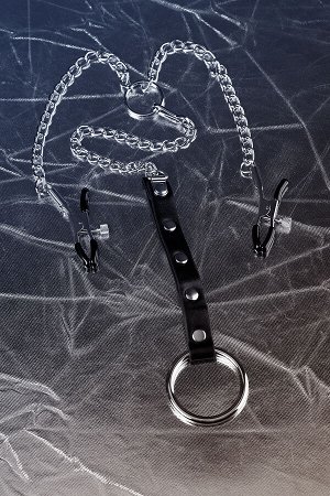 Зажимы для сосков с кольцом для пениса Metal by TOYFA, серебряные, 60 см