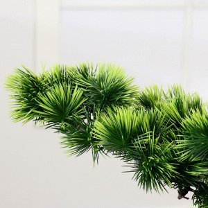 Дерево искусственное "Бонсай Кабудати" 70 см