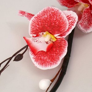 Декор тинги "Орхидея королевская" 150 см, микс