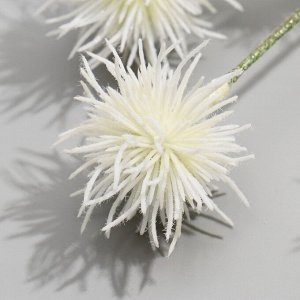 Цветы искусственные "Мордовник шароголовый" 70 см, белый
