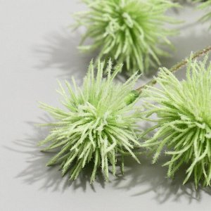 Цветы искусственные "Мордовник шароголовый" 70 см, зелёный