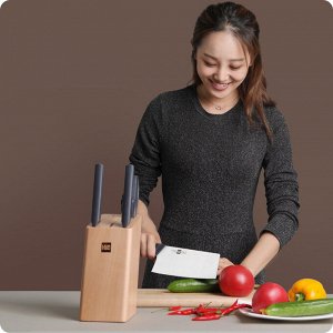 Набор ножей Xiaomi Fire Kitchen Steel Knife с подставкой 5 предметов