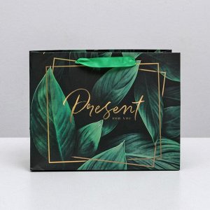 Пакет подарочный ламинированный горизонтальный, упаковка, Present for you, S 15 х 12 х 5,5 см