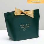 Пакет подарочный Present for you, 28 х 20 х 9 см
