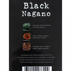 Туалетная вода мужская Black Nagano, 100 мл