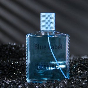 Туалетная вода мужская Absolute Aqua, 100 мл (по мотивам Acqua Di Gio (G.Armani)