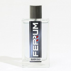 Туалетная вода мужская Ferrum "Silver Cold', 100 мл