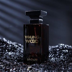 Туалетная вода мужская Young Wood "Brown", 100 мл