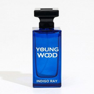Туалетная вода мужская Young Wood "Indigo Ray", 100 мл