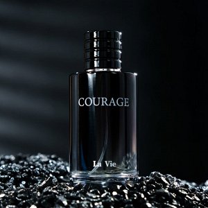 Туалетная вода мужская Courage, 100 мл