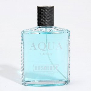 Туалетная вода мужская Absolute Aqua, 100 мл