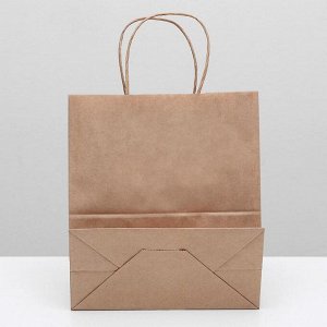 Пакет крафт без печати, круглая ручка 22 х 12 х 25 см
