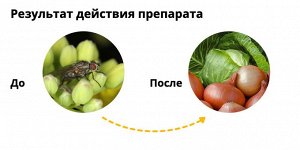 Х Мухоед 25гр почвеные мушки на овощных культурах, луковые мухи  1/150