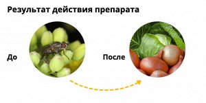 Мухоед 25гр