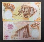 Папуа новая гвинея 20 кина 2008 UNC