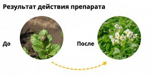 Х Танрек  1мл колор жук, вредители овощей и цветов 1/50/200