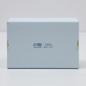 Коробка для эклеров с вкладышами «Фиалки» - (вкладыш - 4 шт) 20 х 15 х 5 см