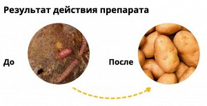 Провотокс 40гр, от проволочника, защита от вредителей, картофель