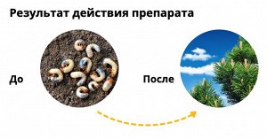 avgust Валлар 50гр, от личинок майского жука, для защиты корней саженцев, плодовых, хвойных