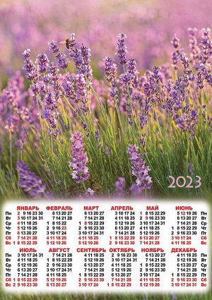 Листовой календарь на 2023 год А2 "Полевые цветы"