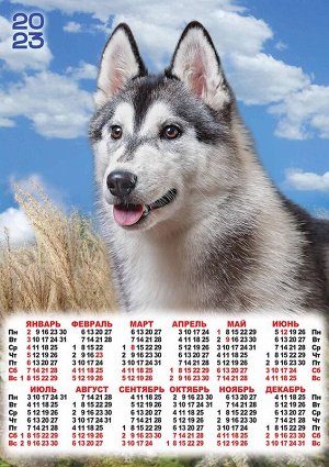 Листовой календарь на 2023 год А2 "Собаки"