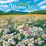 БОЛЬШОЙ перекидной настенный календарь на скрепке на 2023 год &quot;Полевые цветы&quot;