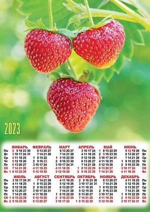 Листовой календарь на 2023 год А2 "Ягода"