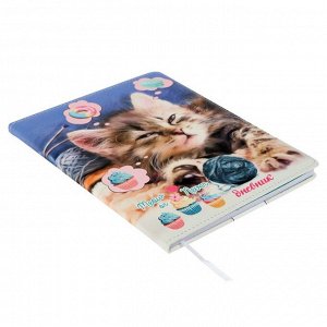 Дневник универсальный для 1-11 класса Meow or Never, твёрдая обложка, искусственная кожа, с поролоном, ляссе, 80 г/м2