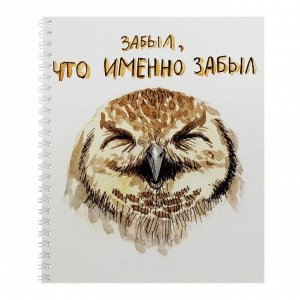 Тетрадь 48 листов в клетку на гребне "Совы", обложка мелованный картон, ВД лак, блок офсет, МИКС
