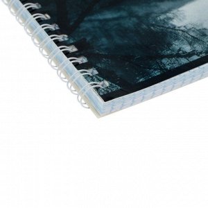 Тетрадь 80 листов в клетку на гребне «Природа монохром», обложка мелованный картон, глянцевая ламинация, МИКС