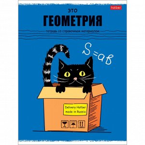 Тетрадь предметная А5,48л,Черный кот ГЕОМЕТРИЯ 073104...
