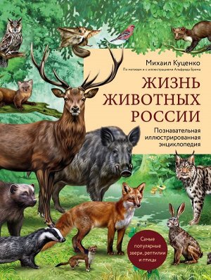 Куценко М. Жизнь животных России. Познавательная иллюстрированная энциклопедия