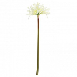 Цветок "Амариллис" цвет - белый, 75см, 4 цветка - 14х10см, 1 бутон (Китай)