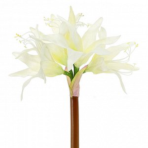 Цветок "Амариллис" цвет - белый, 75см, 4 цветка - 14х10см, 1 бутон (Китай)