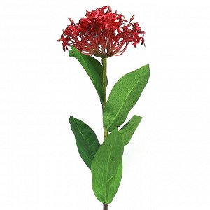 Цветок "Искора" цвет - бордовый, 65см, цветок - 13х8см (Китай)