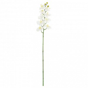 Цветок "Орхидея" цвет - белый, 98см, 9 цветков, 3 бутона (Китай)