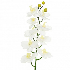 Цветок "Орхидея" цвет - белый, 98см, 9 цветков, 3 бутона (Китай)