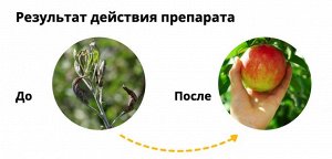 avgust Раёк 2мл, от комплекса болезней, от парши и мучнистой росы, для овощных и плодовых культур, косточковых