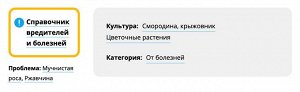 Топаз, 2 мл, от болезней, для цветочных и ягодных культур