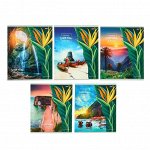 Треугольник 30*/11 см СТАММ, пластиковый, прозрачный, неоновые цвета, ассорти 9600141