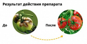 Ордан 25 гр, от болезней на картофеле и овощных культурах